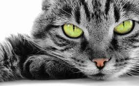 picture mood 'Don't look at me'
